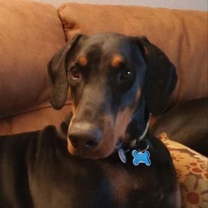 Meet your Posher, Tanya